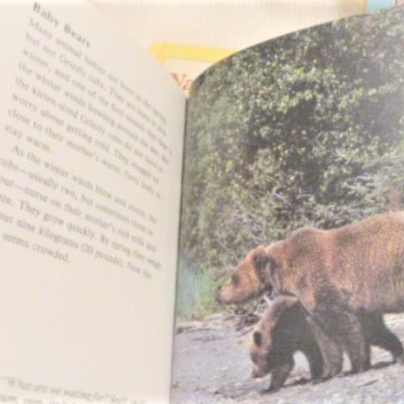BK4 - 6x Double Sided GETTING To Know NATURES CHILDREN Elk Mice Loons Black Bear - Picture 5 of 8